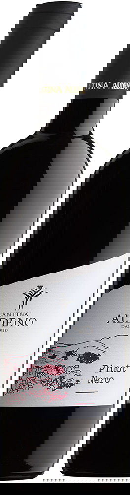 Pinot Nero Trentino DOC BIO