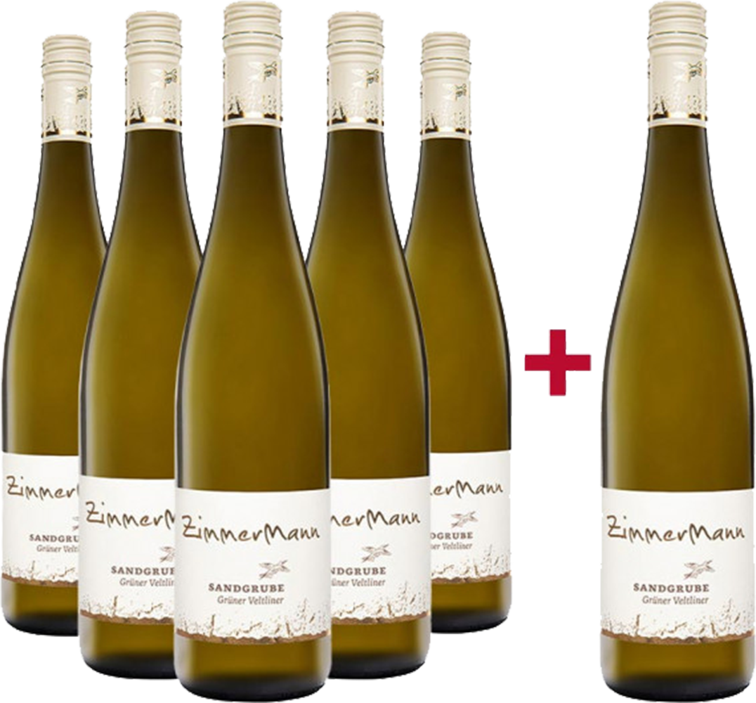 5+1 Paket Ried Sandgrube Grüner Veltliner Kremstal DAC