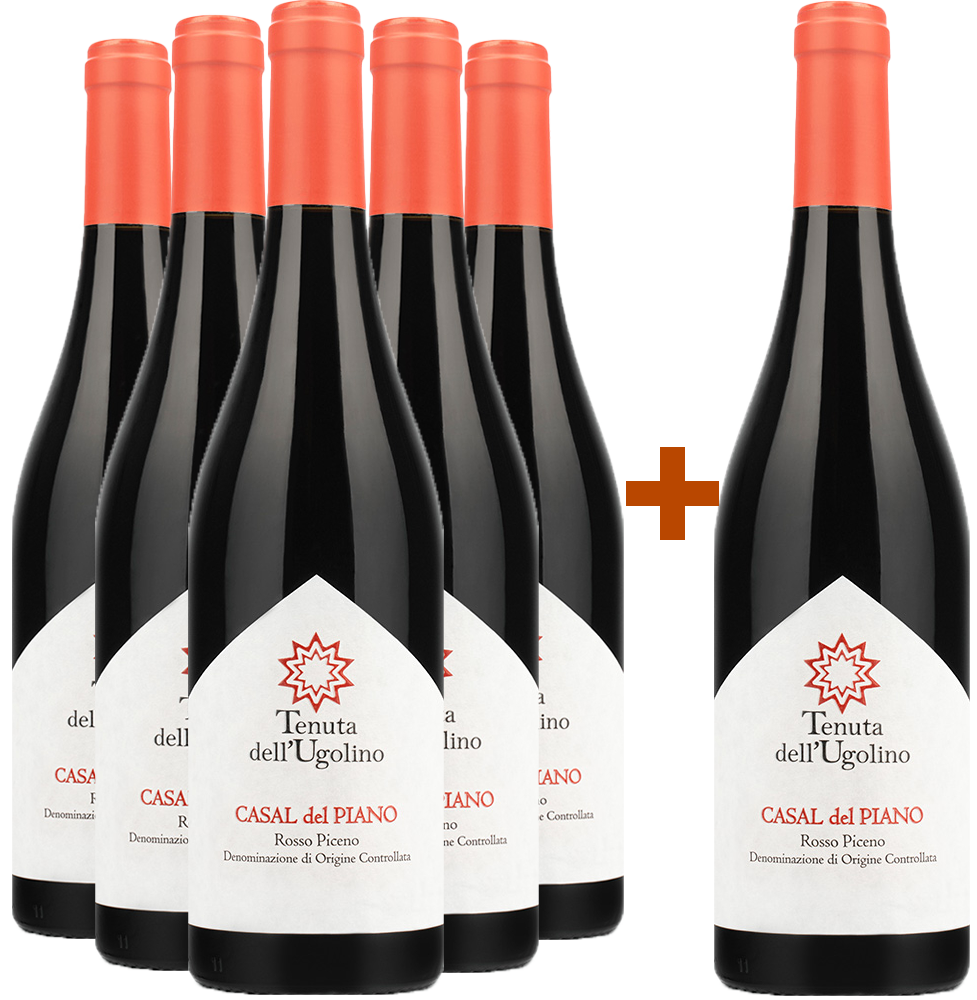 5+1 Paket Casal del Piano Rosso Piceno DOC
