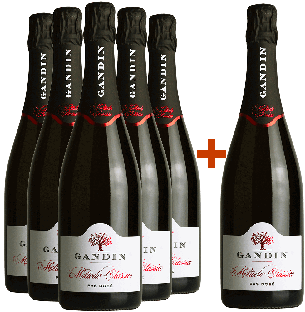 5+1 Paket Metodo Classico