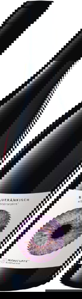 2022 Blaufränkisch Ried Vierteljoch BIO