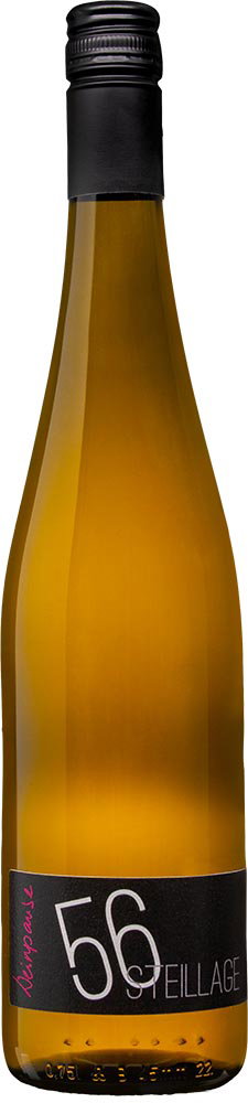 2022 Lorchhäuser Seligmacher Riesling reflection