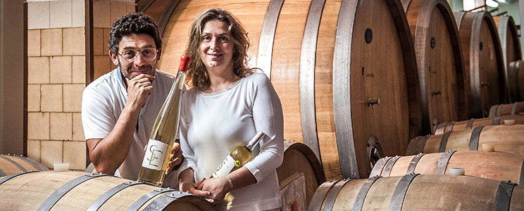 Poderi Cellario