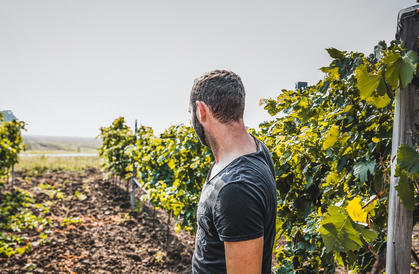 Münzenrieder Johannes