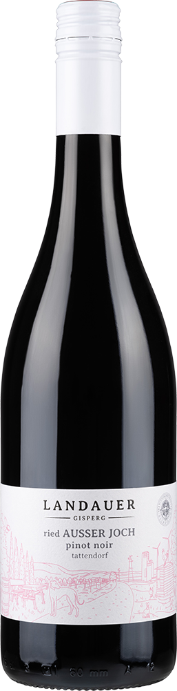2021 PINOT NOIR Ried Ausser Joch Tattendorf BIO