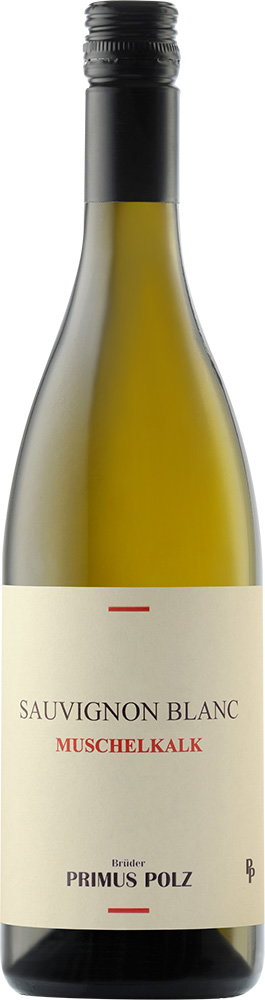 2024 Sauvignon Blanc Muschelkalk - Slowenien