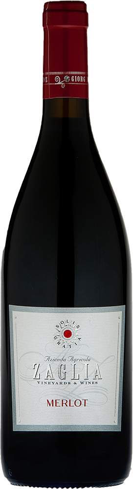 2022 Merlot Friuli DOC