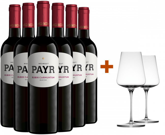Zweigelt Rubin Carnuntum DAC ÖTW Gebietswein trocken Bio + 2 GRATIS Weingläser von UNO Glassworks Bio - Weingut Payr