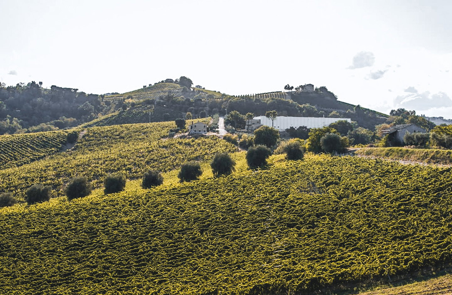 Villa Pigna