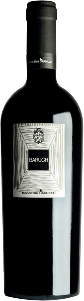 2023 Baruch Matera DOC