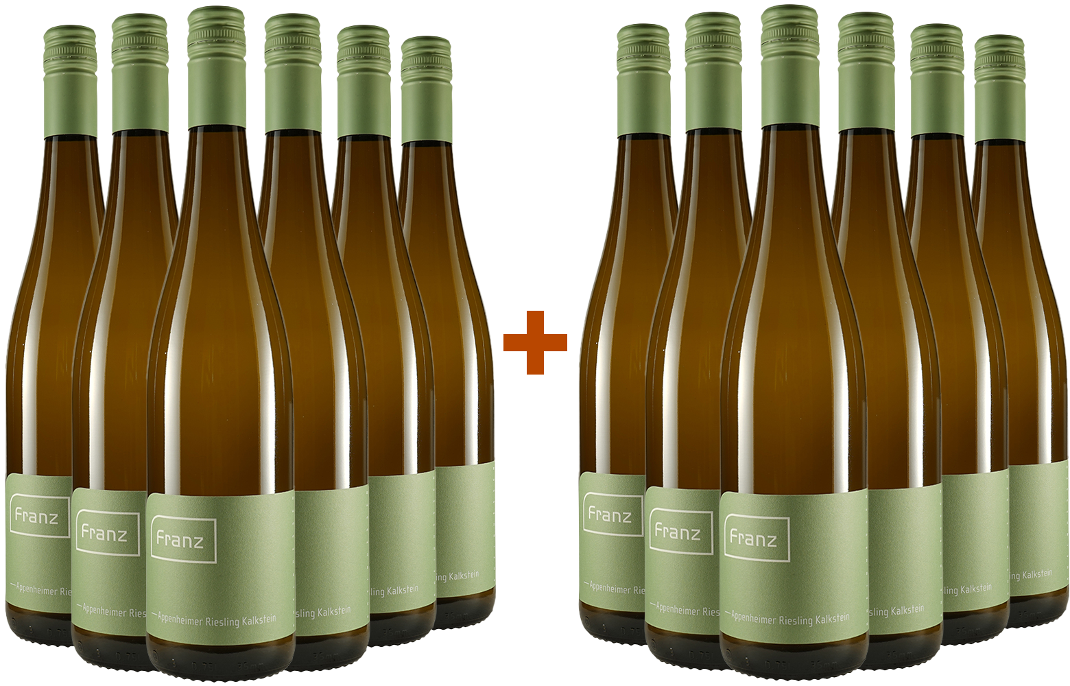 6+6 Paket - 2022 Nieder-Hilbersheimer Riesling vom Rotenstein trocken