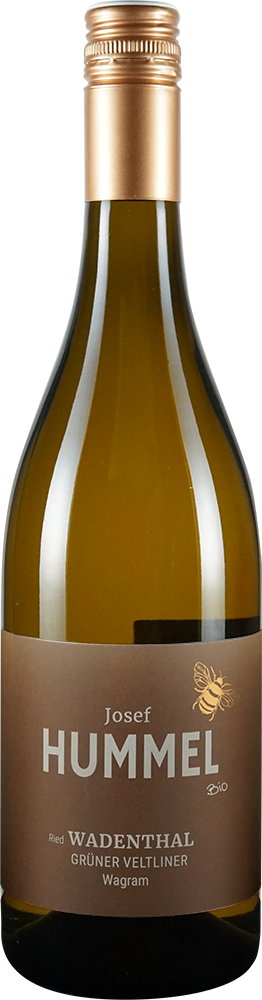 2025 Grüner Veltliner Ried Wadenthal BIO