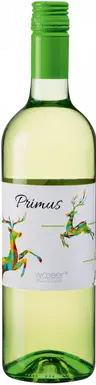 2025 Primus