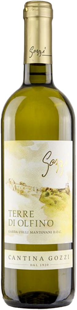 2024 Bianco Terre Di Olfino Garda Colli Mantovani DOC