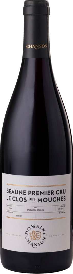 2023 Domaine Chanson Clos des Mouches reflection