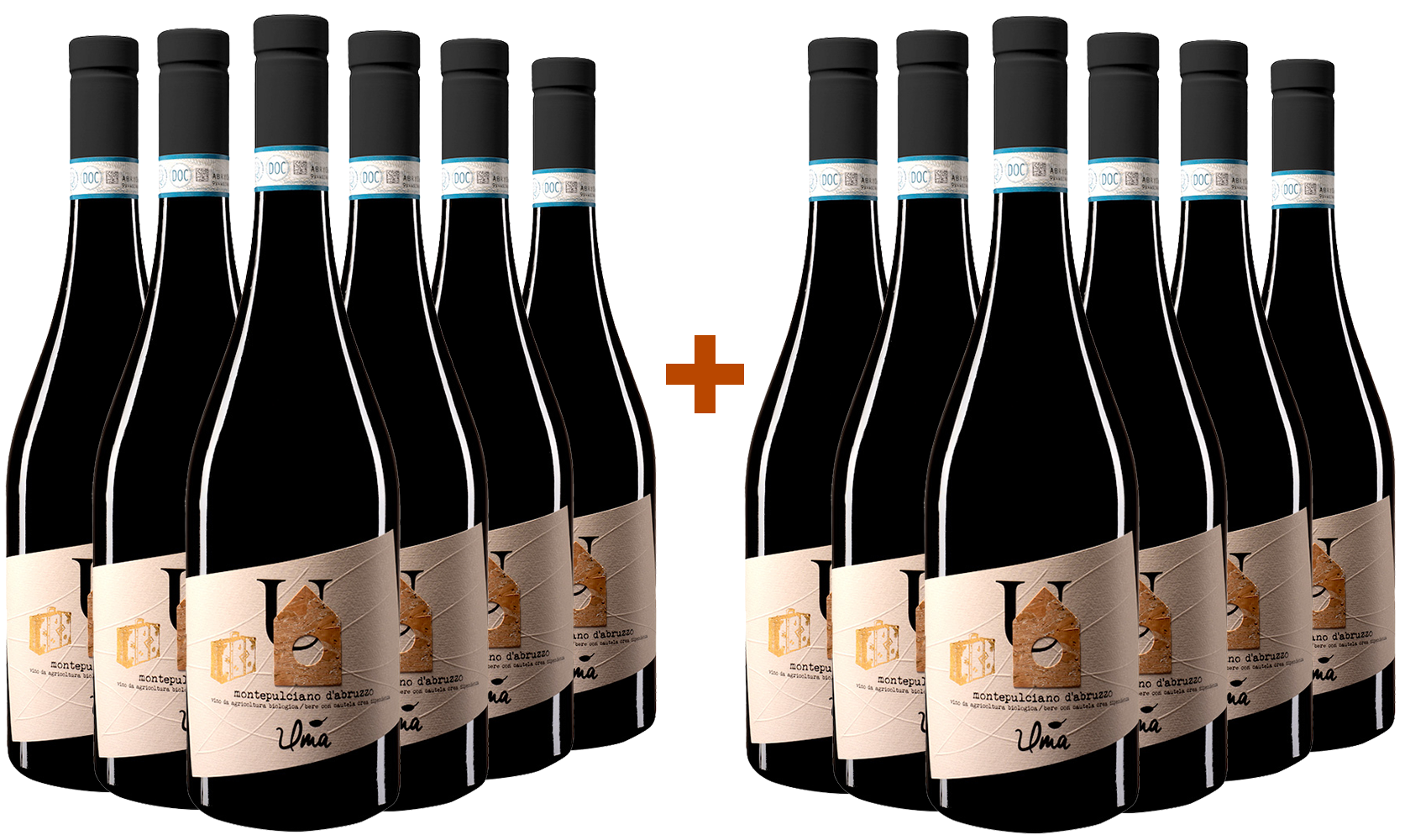 Montepulciano DOC Paket BIO