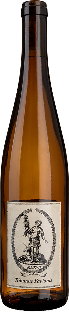 2018 Tribunus Favianis