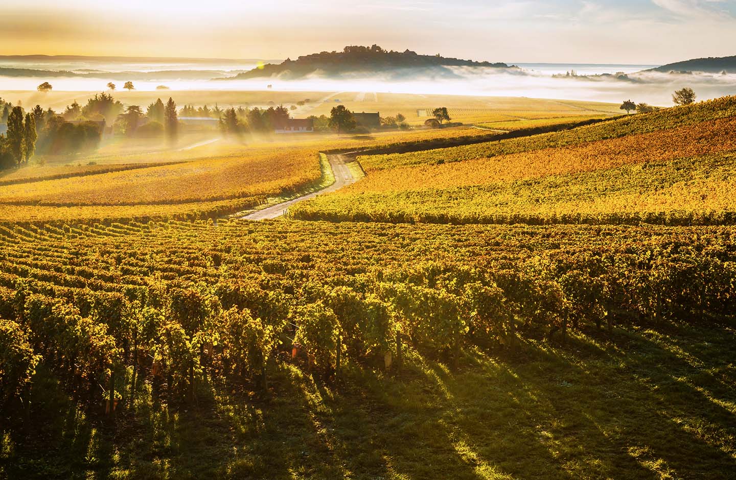 Fournier Père et Fils