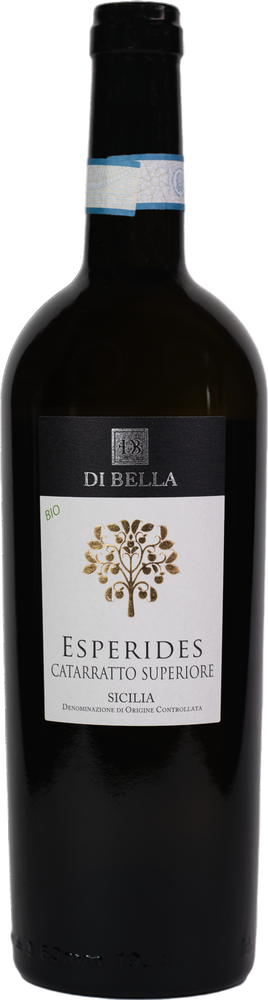 2025 Catarratto Superiore Sicilia Doc