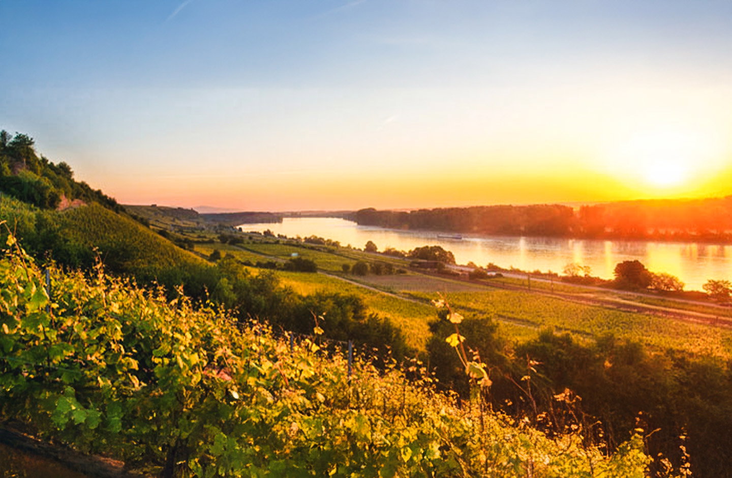 Eckehart und Johannes Gröhl
