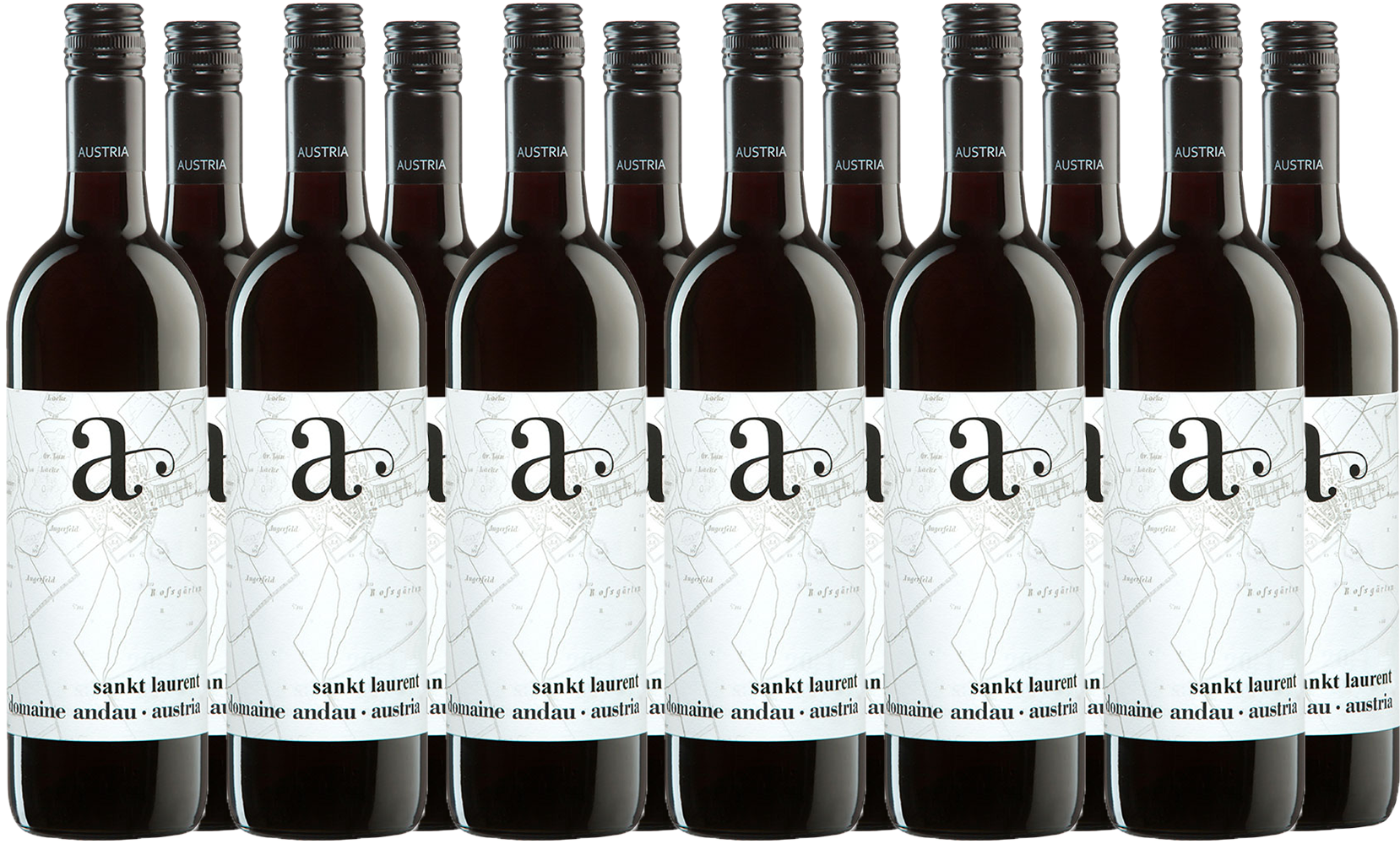 12er Paket Sankt Laurent