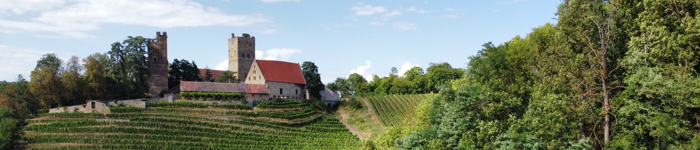 Graf Neipperg