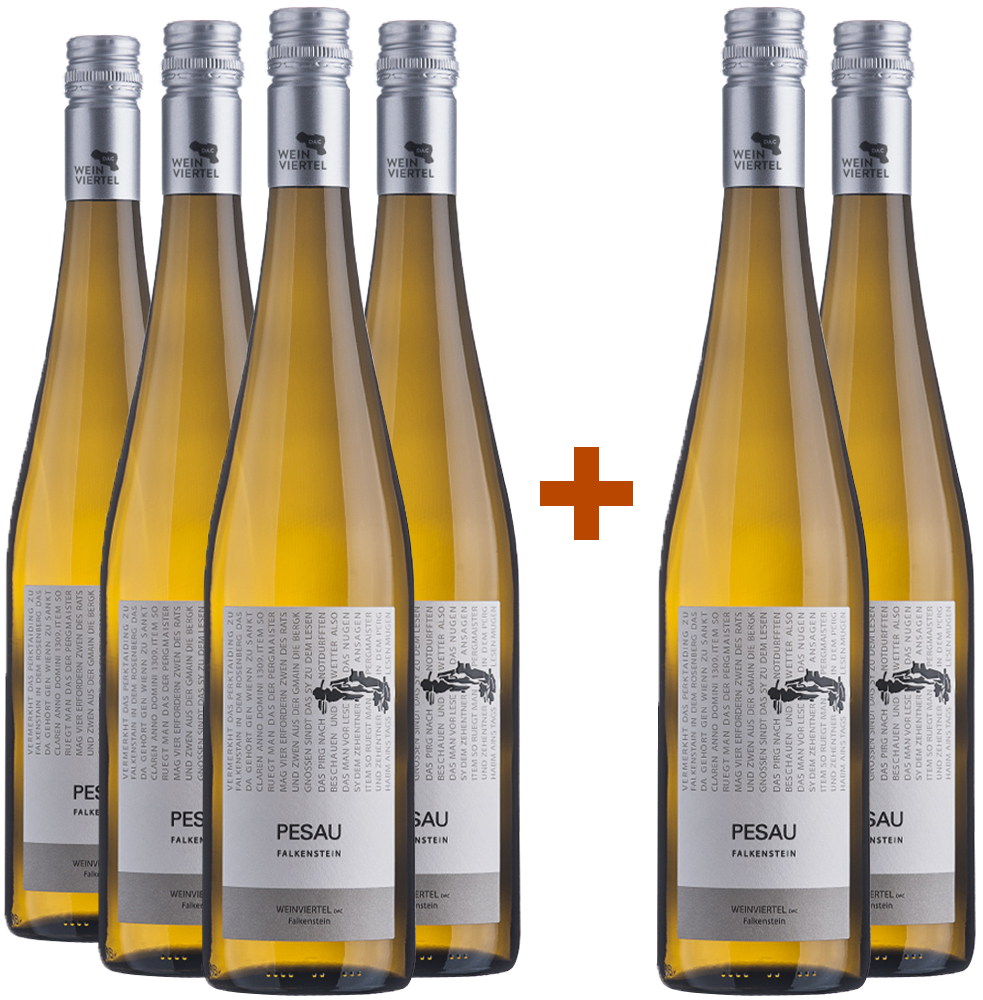 4+2 Paket Weinviertel DAC Grüner Veltliner Falkenstein trocken BIO