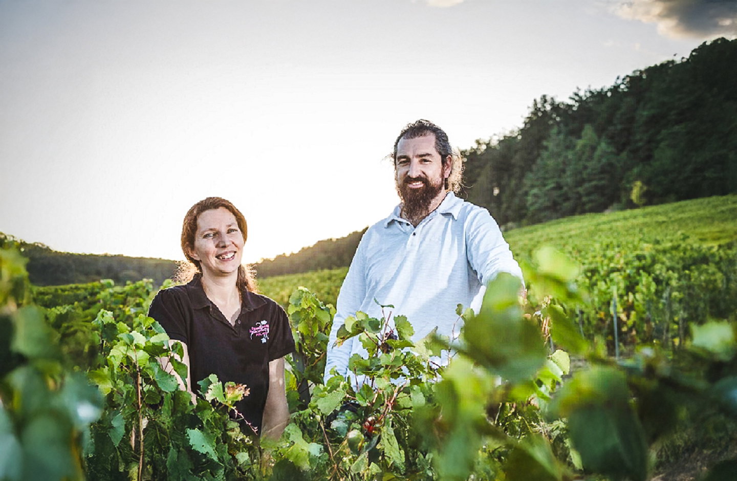 Champagne Daniel Leclerc et Fils