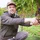 Weingut Siegfried Vogel