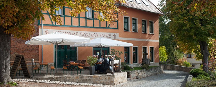 Frölich-Hake
