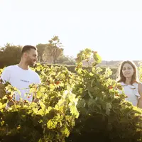 Flavia Rebellious Wines