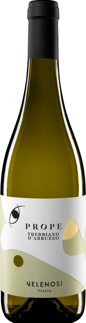 2024 Prope Trebbiano dAbruzzo' reflection