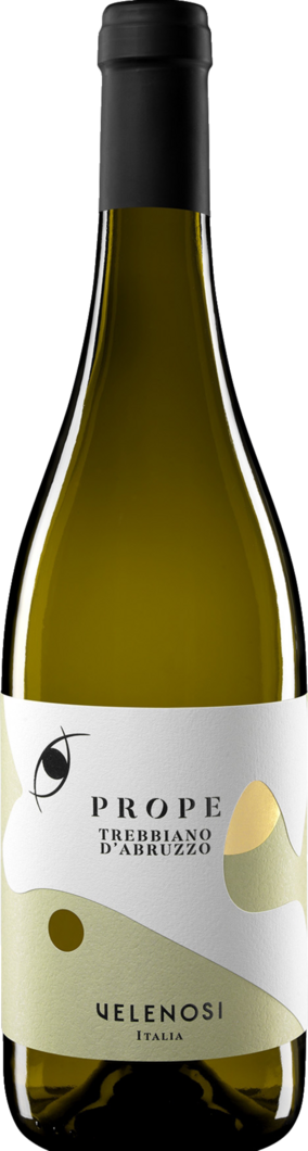 2025 Prope Trebbiano dAbruzzo' reflection