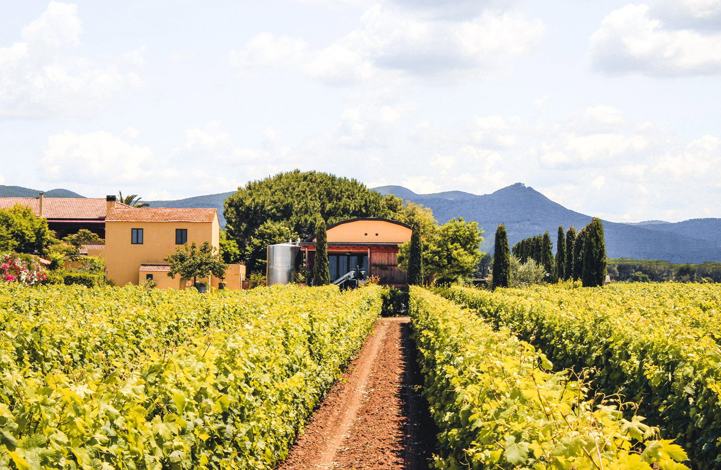 Terre del Marchesato