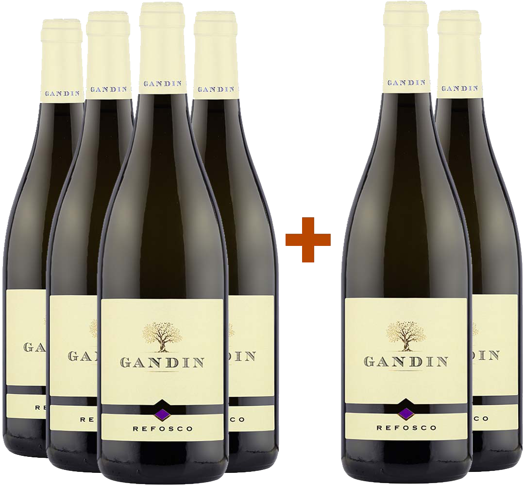 4+2 Paket Refosco dal Peduncolo Rosso Friuli Isonzo DOC