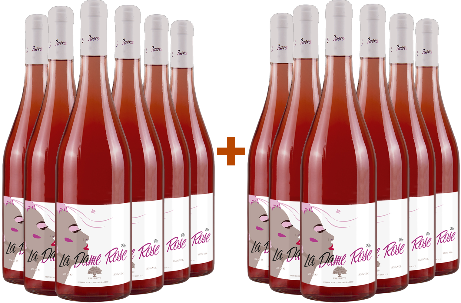 6+6 Paket La Dame Rose BIO