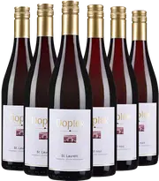 Erkunden Sie die Thermenregion mit Weingut Dopler