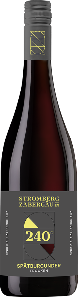 2022 240° Entdeckung Spätburgunder