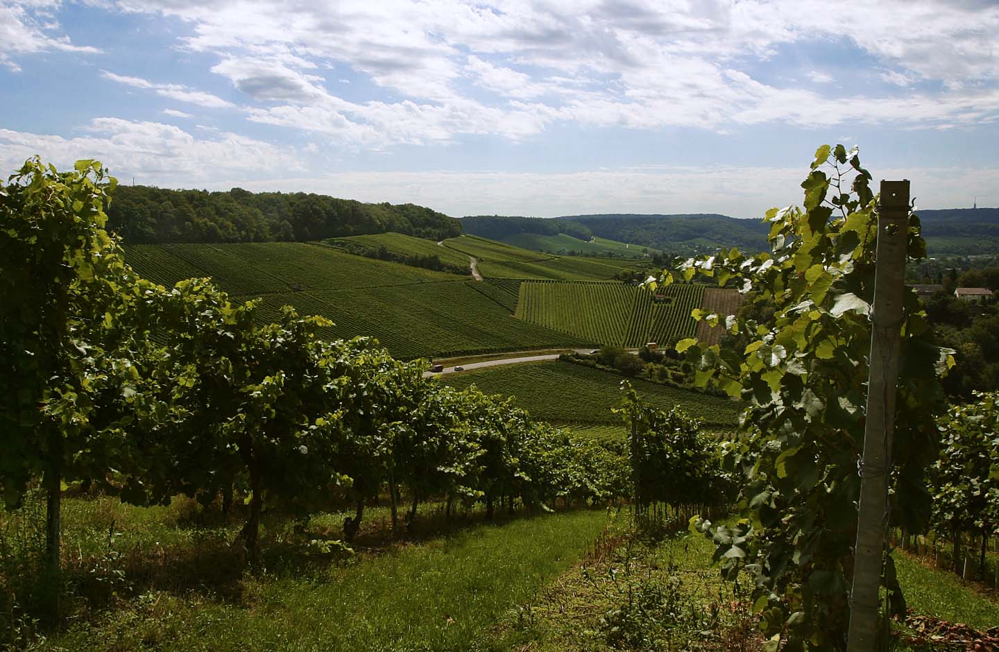 Kistenmacher-Hengerer