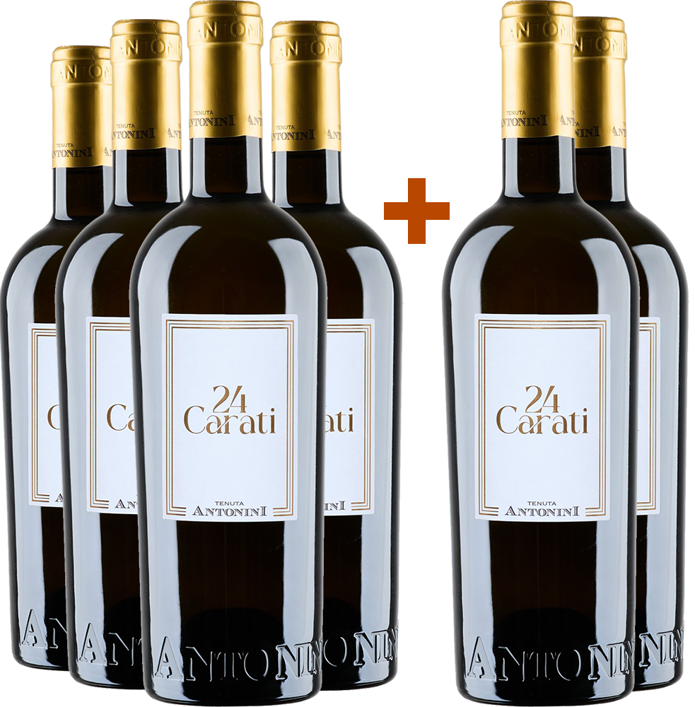 4+2 Paket 24 Carati Bianco