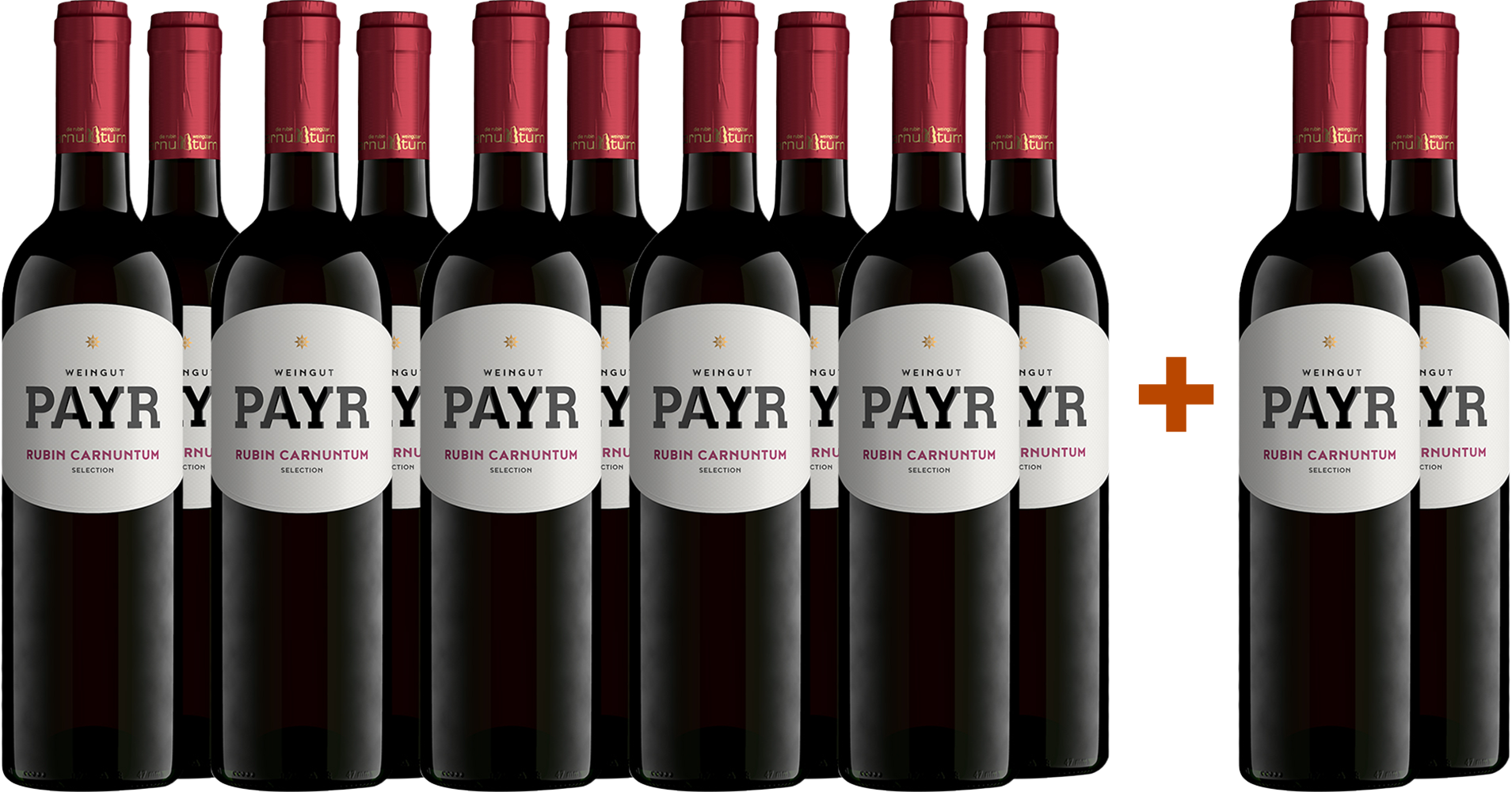 10+2 2024 Zweigelt Rubin Carnuntum DAC ÖTW Gebietswein BIO BIO