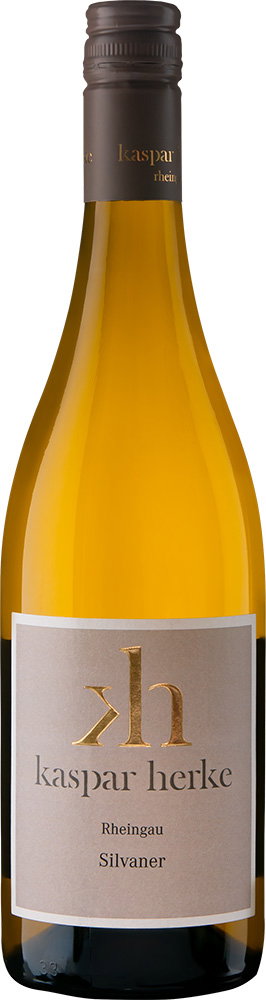 2025 Silvaner reflection