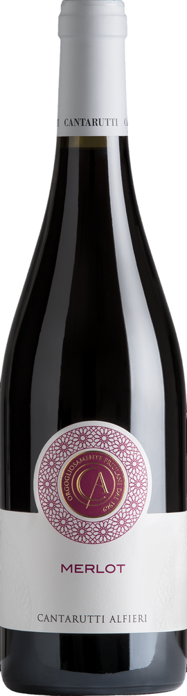 2023 Merlot Friuli Colli Orientali DOC reflection