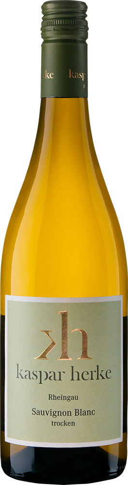 2025 Sauvignon Blanc reflection