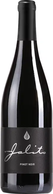 Südburgenländischer Genuss – Pinot Noir voller Ausdruck