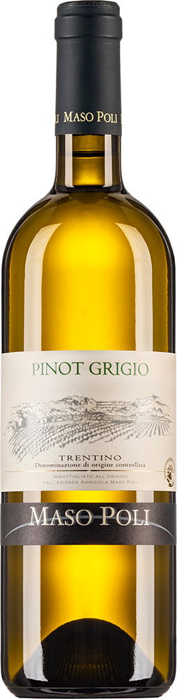 2023 Pinot Grigo Trentino DOC