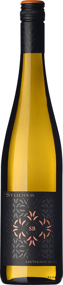 2023 Sauvignon Blanc BACHELOR BIO reflection
