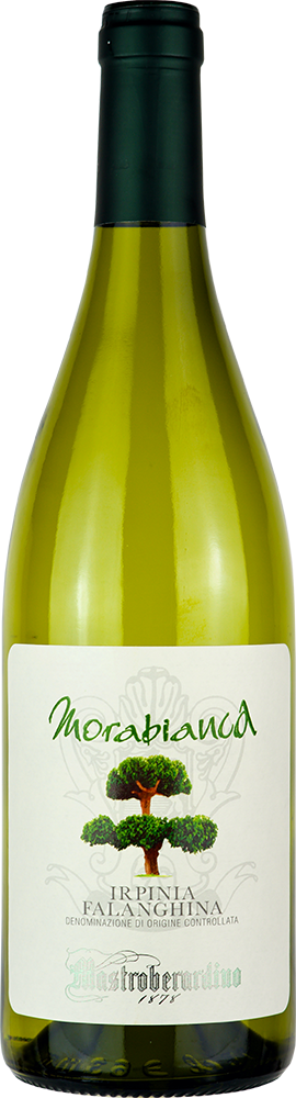 2024 Morabianca Falanghina Irpinia DOC