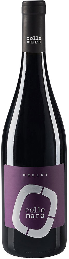 2017 Merlot Rosso Marche IGP