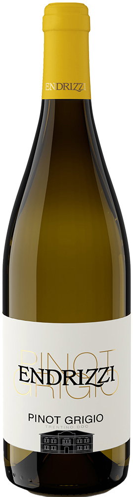 2025 Pinot Grigio Trentino DOC